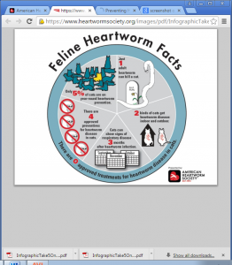 Diagram showing feline heartworm facts, signs of disease and prevention