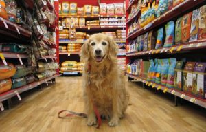 Blog - Food - Golden in store