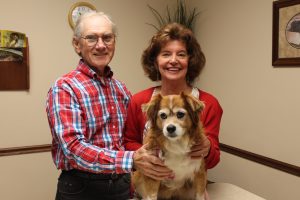 Brittany Spaniel Mix dog sitting on exam table with owners, Mr. and Mrs. Roethele standing behind