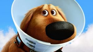 Caricature of dog wearing E Collar