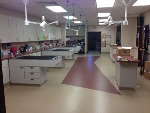 Treatment Room at Dupont Vet Clinic Fort Wayne