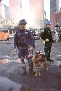 Appollo standing in New York City