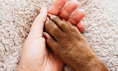 End-of-Life Care End-of-Life Care Services