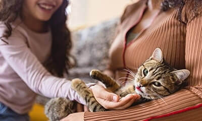 Endoscopy Endoscopy Services