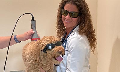 Pain Management Pain Management Services