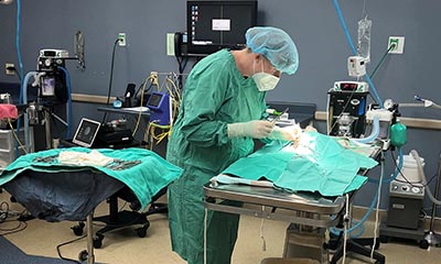 Surgery Surgery Services