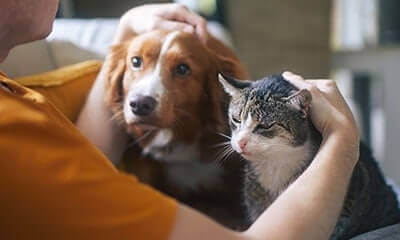 Technician Appointments Technician Appointments Services