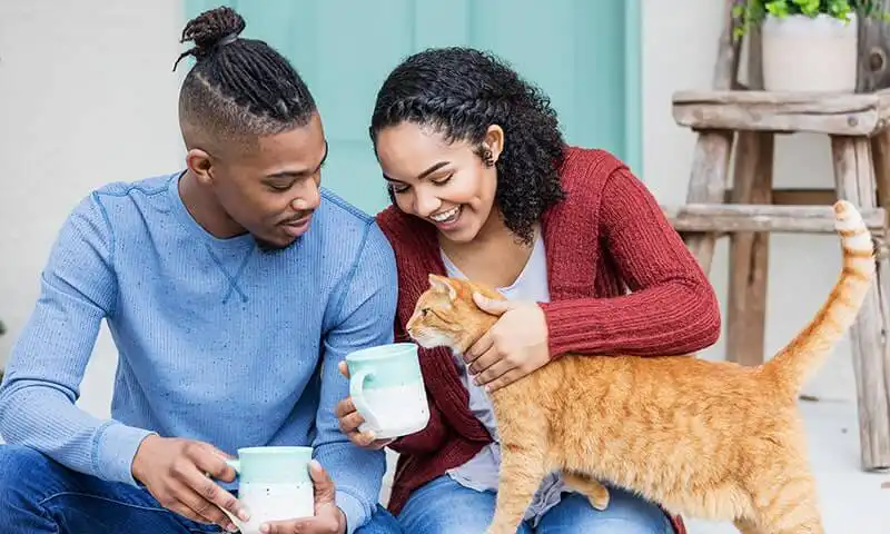 A couple with their cat