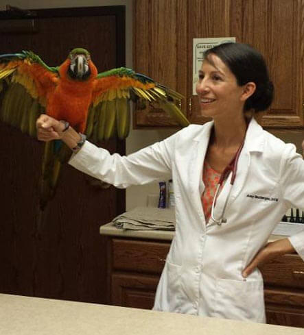 Dr. Boxberger with an avian patient Dr. Boxberger with an avian patient