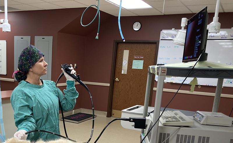 An endoscopic procedure An endoscopic procedure