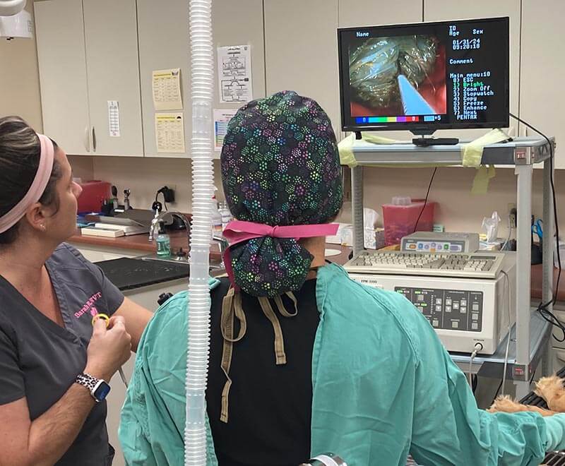 An endoscopic procedure An endoscopic procedure