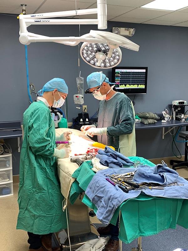 A surgical procedure A surgical procedure