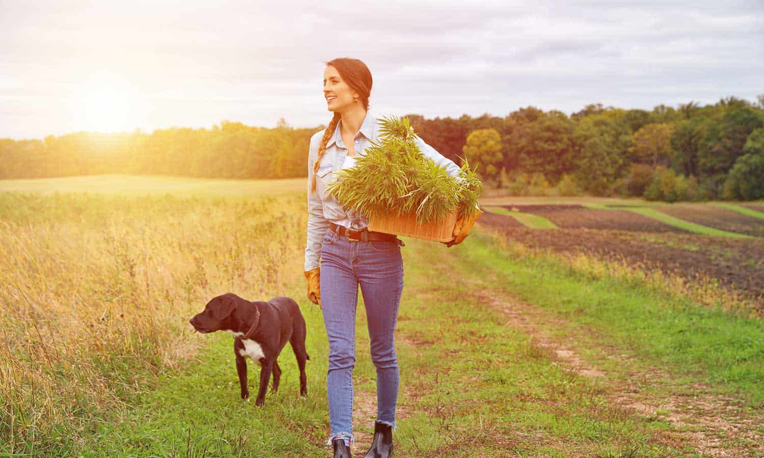 Woman walking with dog