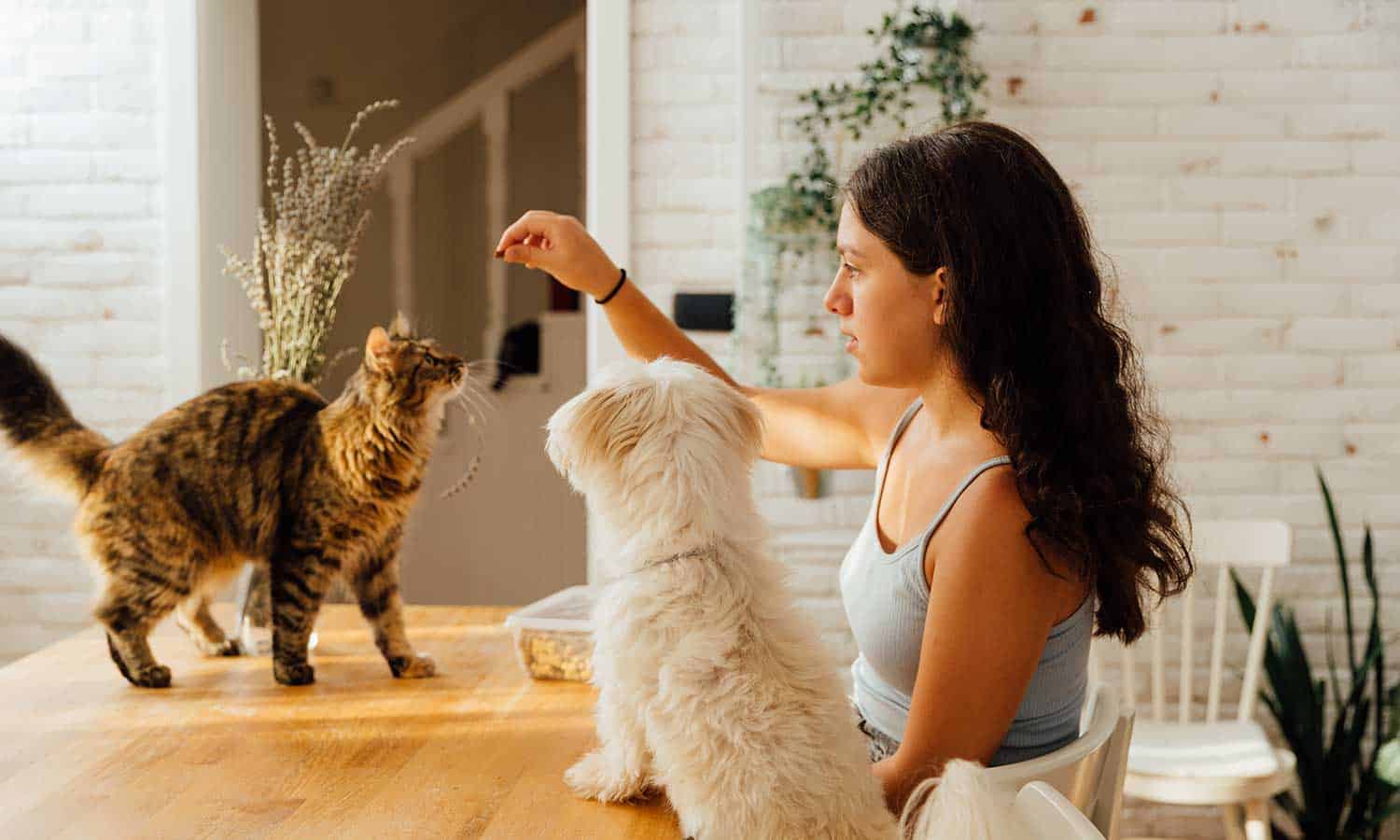 Woman with cat and dog