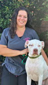 Dani B., Surgery Manager